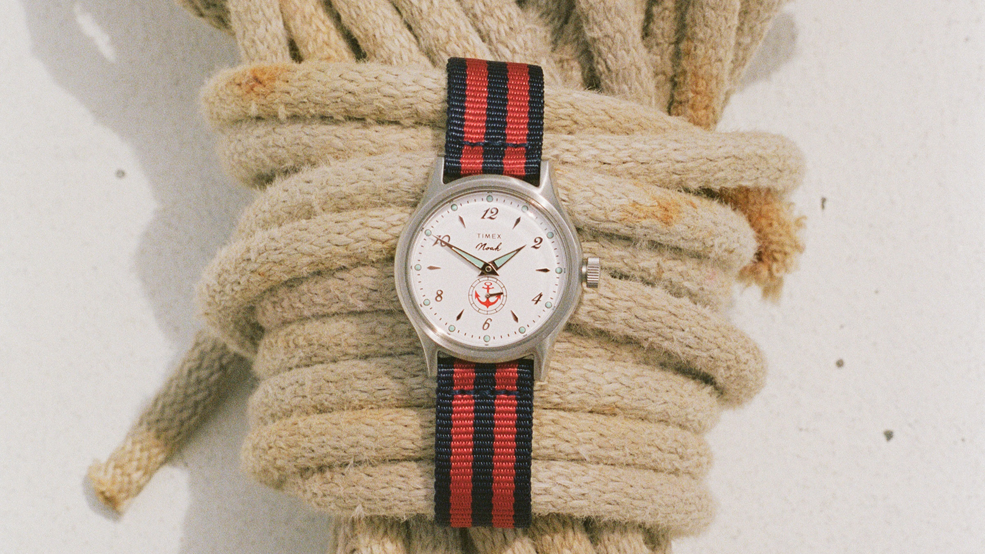 Noah x Timex