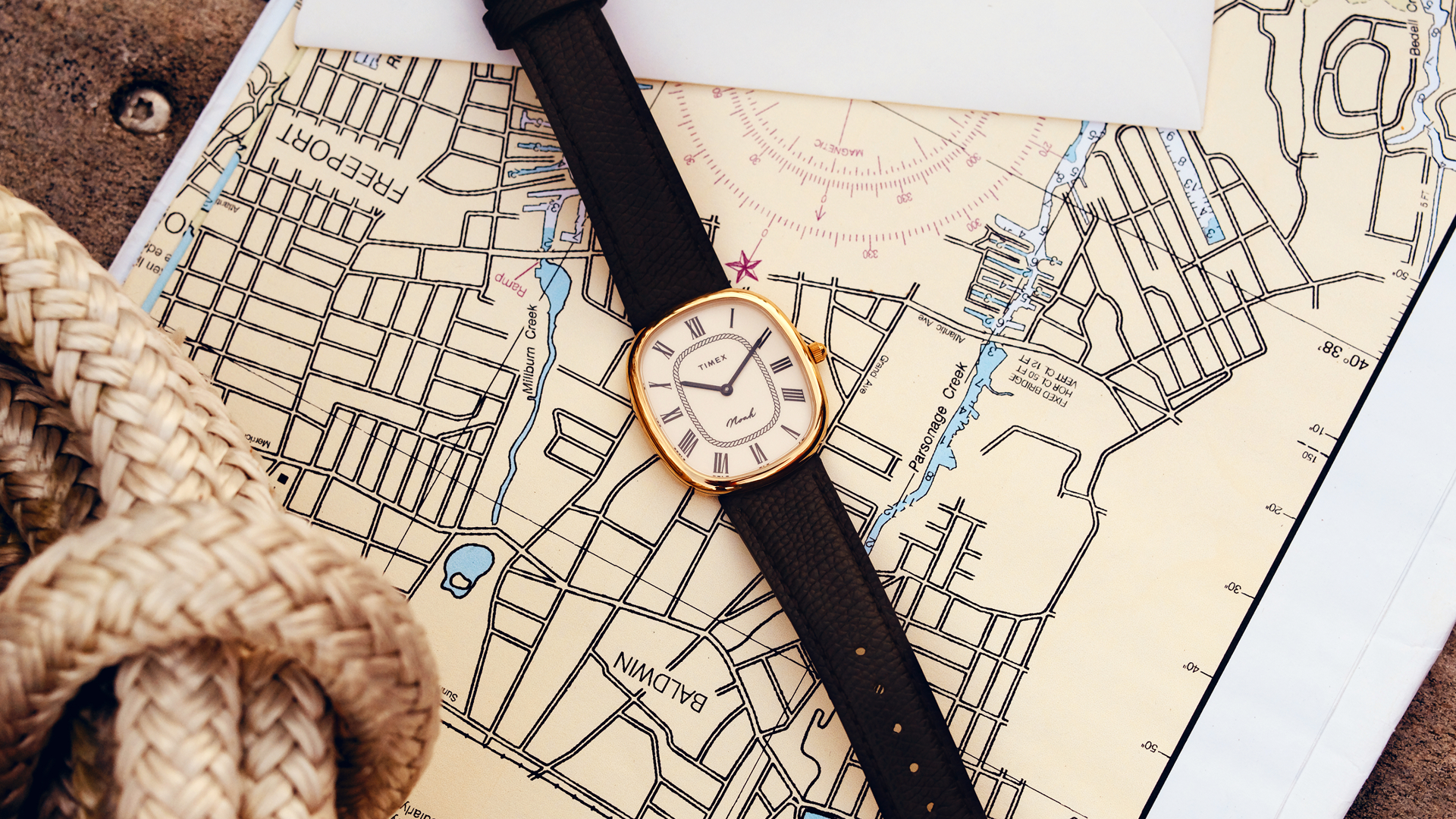 Noah x Timex