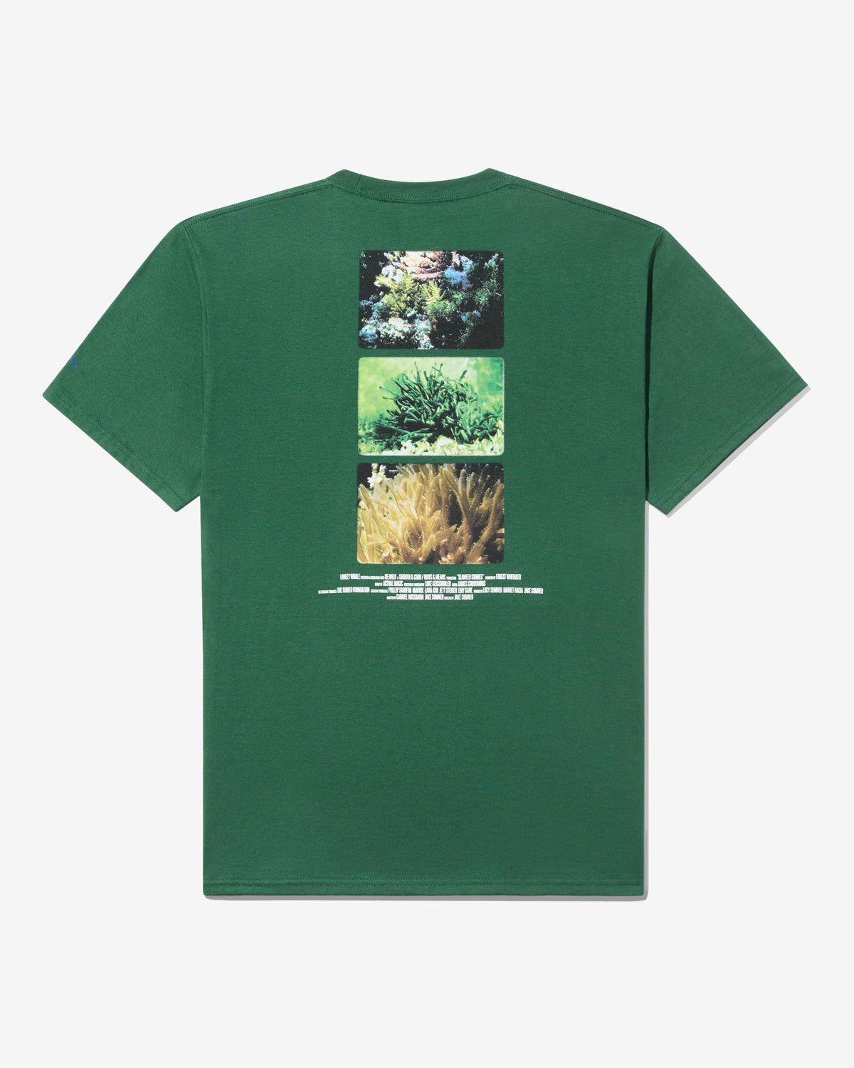 Seaweed Stories Tee