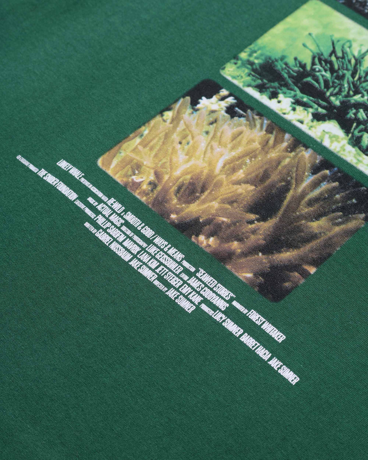 Seaweed Stories Tee