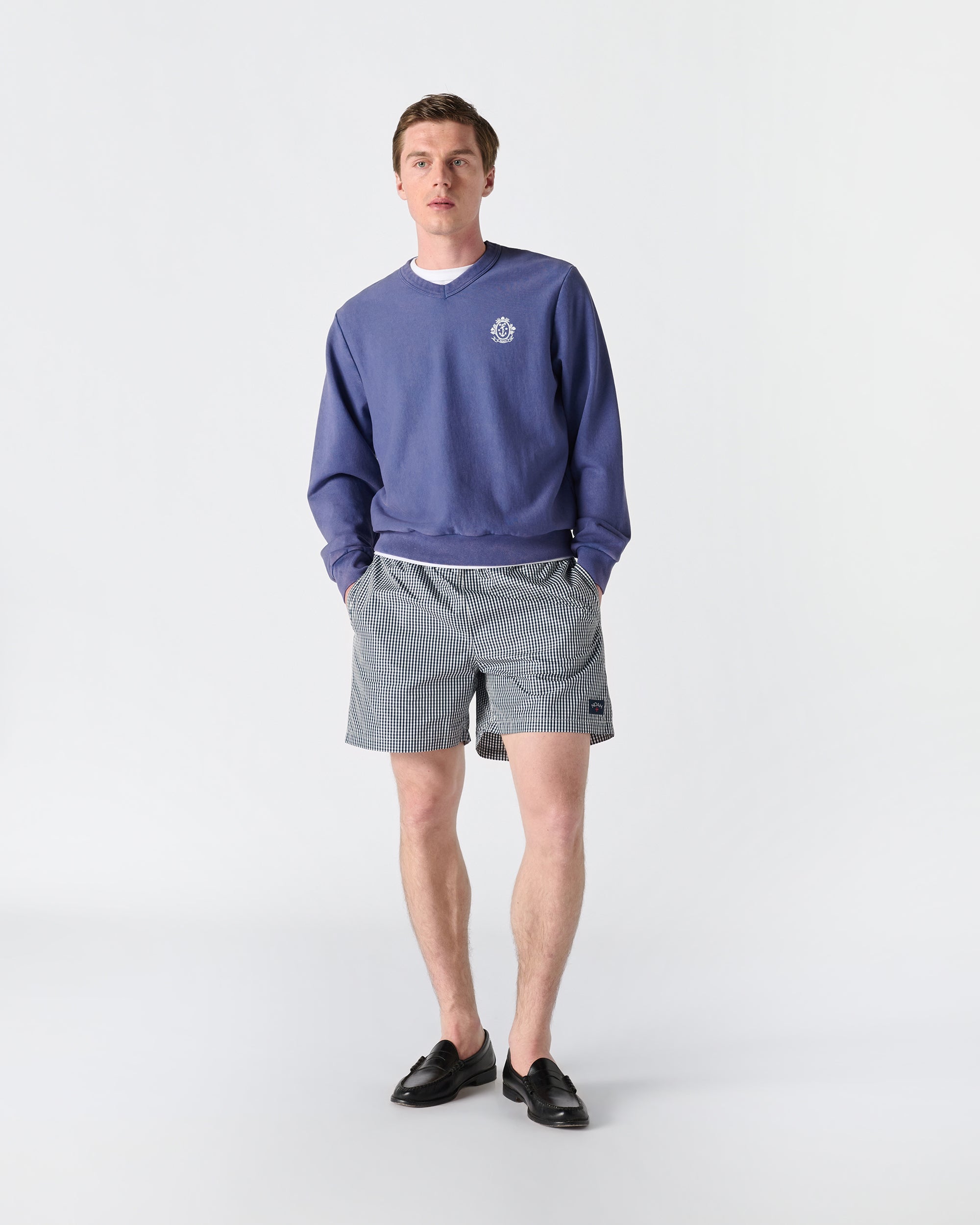 Salt Wash V-Neck Sweatshirt - Noah