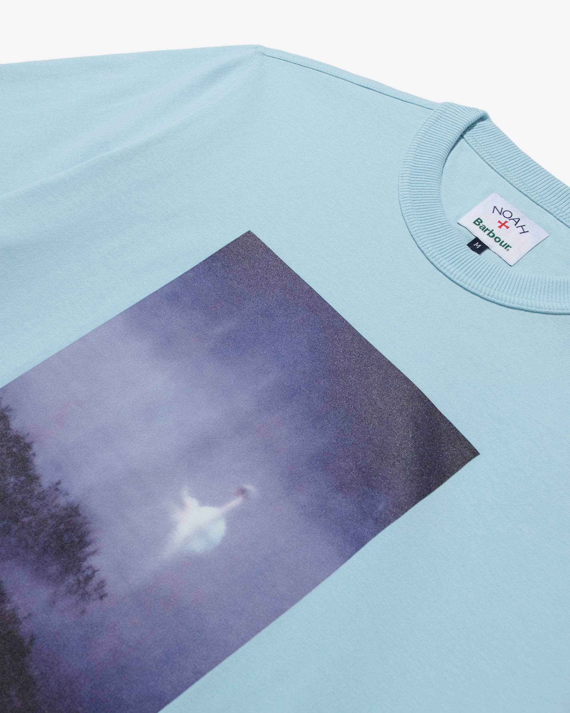 Noah x Barbour Swan Lake Tee - Noah