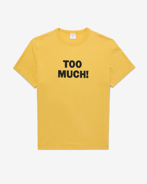 T303FW25_TOO_MUCH_TEE_0002_gra