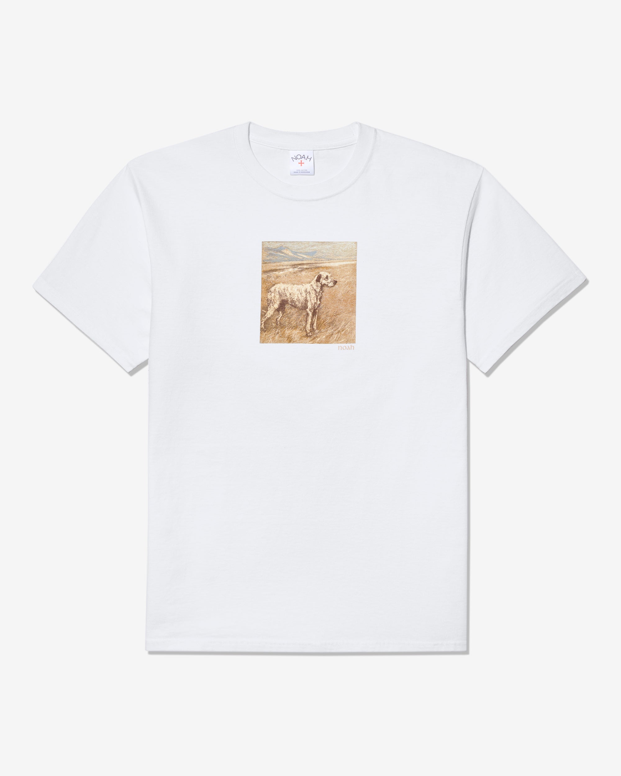 Shop - Noah