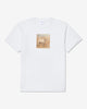 Noah - Irish Wolfhound Tee - White - Swatch