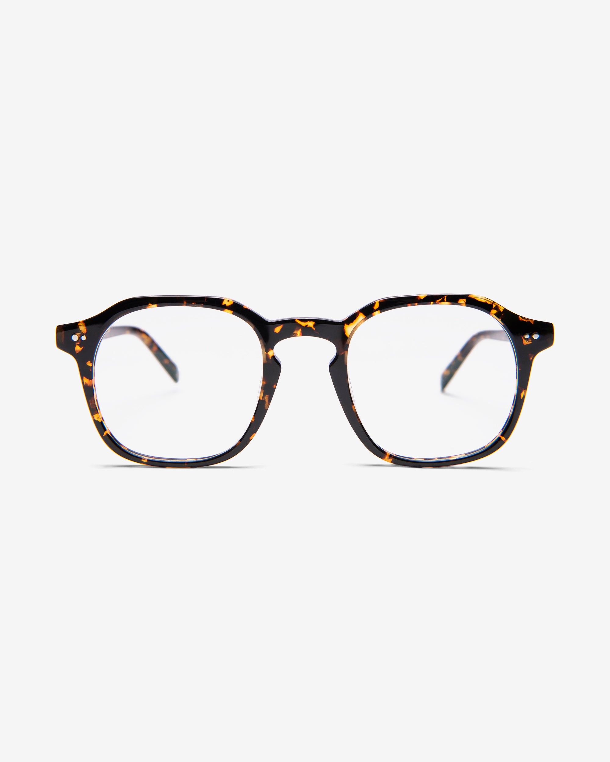 Noah x Warby Parker - Noah